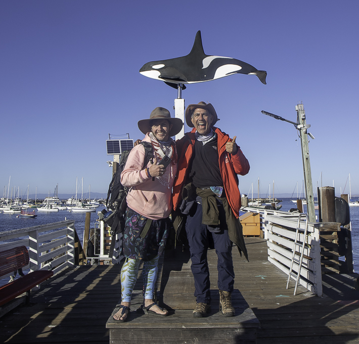 Monterey Bay whale watching